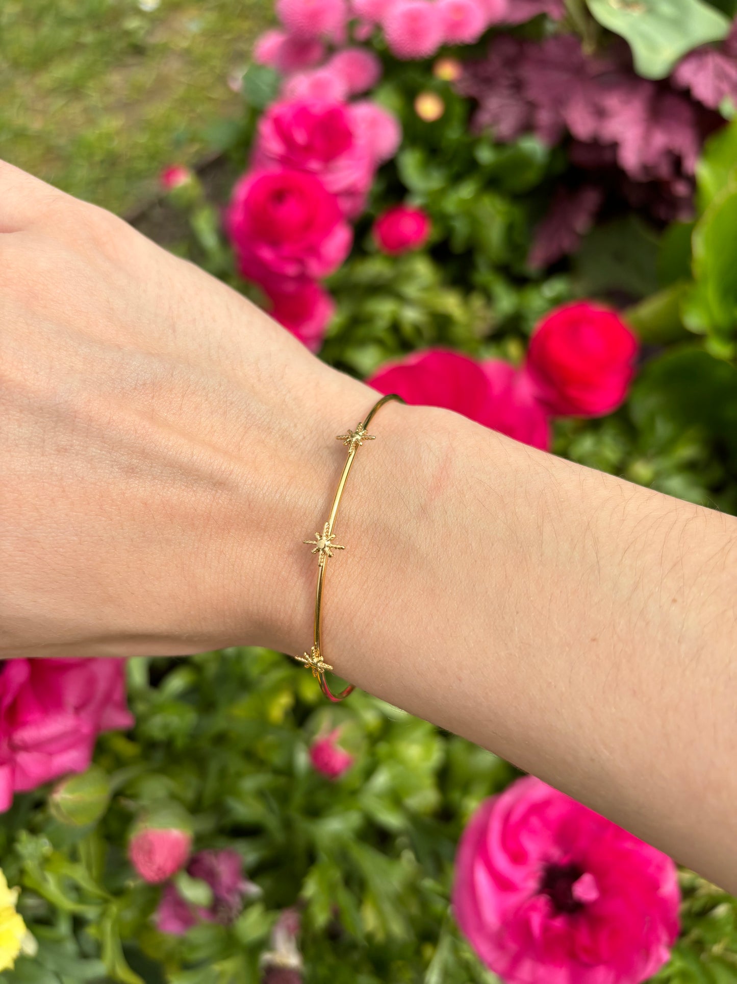 BRACELET METEORITES